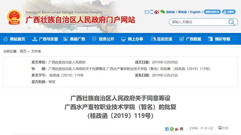 广西网站建设全指南：从企业官网定制到小程序开发的数字化落地路径